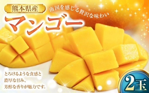マンゴー 2玉 果物 フルーツ 果実 果汁 果肉 贅沢 ジューシー 南国 プリン ケーキ スムージー 贈り物 プレゼント 贈答用 熊本県産 国産 冷蔵 【 2027年6月下旬から7月上旬発送予定 】