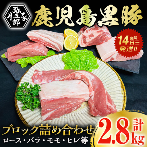 鹿児島県産 やごろう 黒豚 ブロック 詰合せ セット(合計2.8kg・ヒレ1本つき) 豚肉 黒豚 冷凍【大成畜産】B139-v01