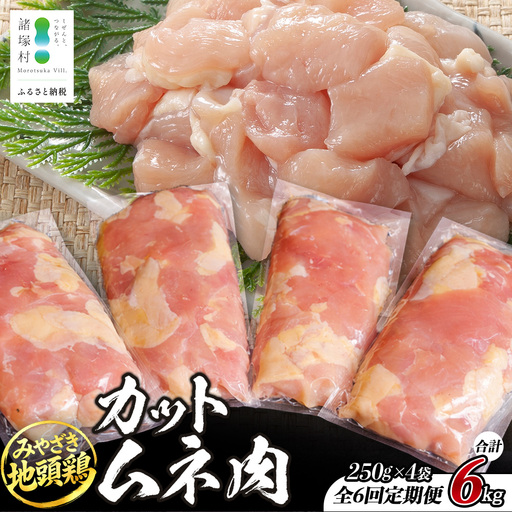 【定期便全6回】みやざき地頭鶏 カットムネ肉 250g×4P×6回 冷凍｜家庭応援 鶏肉 地鶏 ムネ肉 カット肉 唐揚げ 焼き鳥 チキン南蛮 じとっこ 真空パック 小分け カット済み 定期便 6ヶ月 半年 毎月 連続 家事応援 家庭用 興洋開発株式会社 宮崎県 諸塚村 KY-36