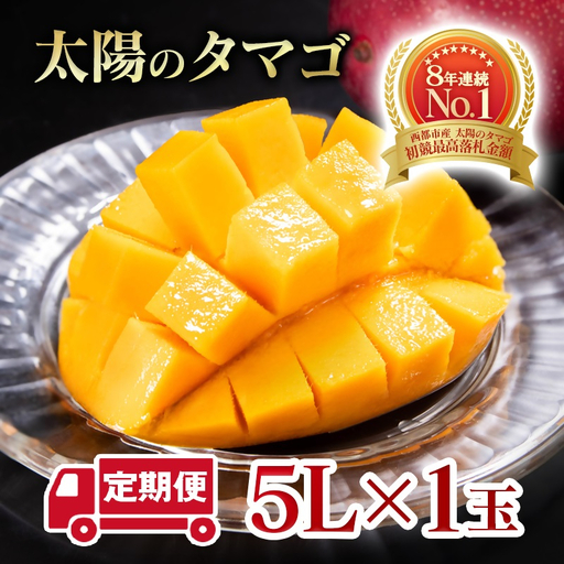 【２カ月定期便】先行予約　最高級ブランド『太陽のタマゴ』5L×1個×2回【糖度15度以上】宮崎県西都市産完熟マンゴー＜68-8b＞宮崎マンゴー 果物 フルーツ 甘い