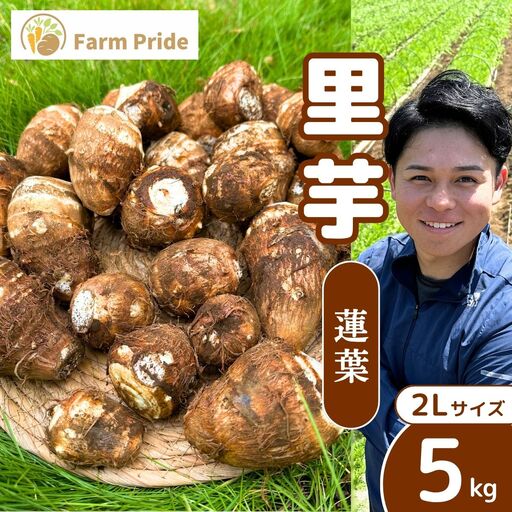 里芋 2Lサイズ 5キロ 里芋