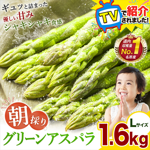 【TVで紹介！】アスパラ 北海道 アスパラガス Lサイズ(1.6kg)