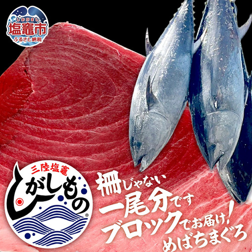 [冷蔵]三陸塩竈ひがしもの 一尾分 ブロック 生メバチマグロ 天然 まぐろ 宮城県 塩竈市
