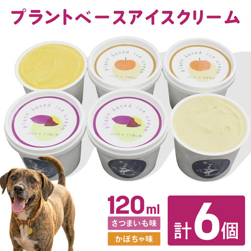 プラントベースアイスクリームセット for humans and dogs さつまいも味・かぼちゃ味|茨城県 行方市 ふるさと納税 アイス お菓子 植物性ミルク 豆乳 スイーツ デザート(HZ-2)