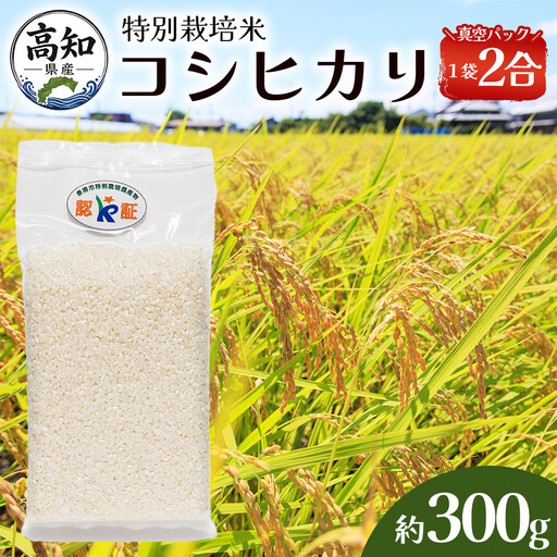 【令和８年度産】米（コシヒカリ） 2合（300g) 真空パック 小分け ke-0058
