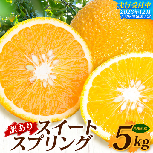 [訳あり]≪先行予約・数量限定≫鹿児島県南大隅産スイートスプリング 約5kg ID-12 |訳あり 訳アリ スイートスプリング すいーとすぷりんぐ 柑橘 カンキツ 柑橘類 詰め合わせ 産地直送 おすすめ 人気 鹿児島県 南大隅町