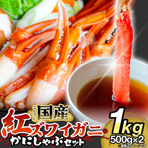 【先行予約】かに しゃぶしゃぶ 紅ズワイガニ 1kg 国産 カニしゃぶ 鍋セット 冷凍 ポーション ギフト 年末年始 魚介 富山県 氷見市