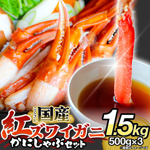 【先行予約】かに しゃぶしゃぶ 紅ズワイガニ 1.5kg 国産 カニしゃぶ 鍋セット 冷凍 ギフト ポーション 年末年始 魚介 富山県 氷見市