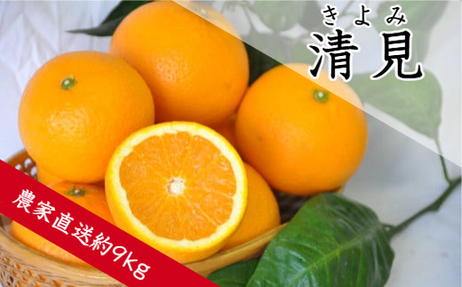 【1190.】清見（きよみ）（約5kg）（A1190-1）