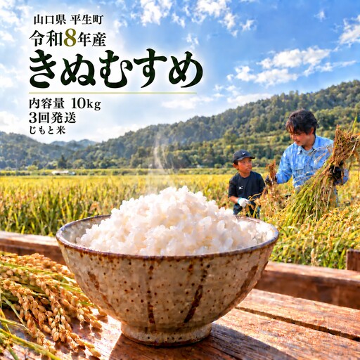 令和8年度産 山口県産 きぬむすめ 10㎏ 定期便 3回発送