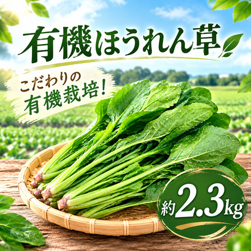 ほうれん草 有機栽培 約 2.3kg 有機JAS認証 千葉県 香取市