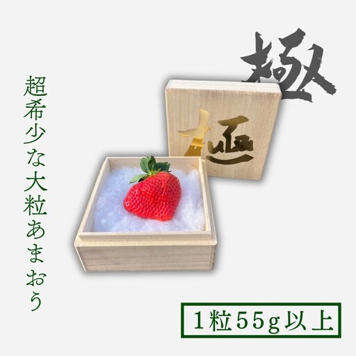 うるう農園のあまおう 苺 「極」 1粒55g以上