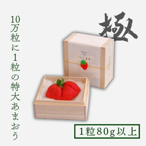 うるう農園の特大 あまおう 苺 「極」 1粒80g以上