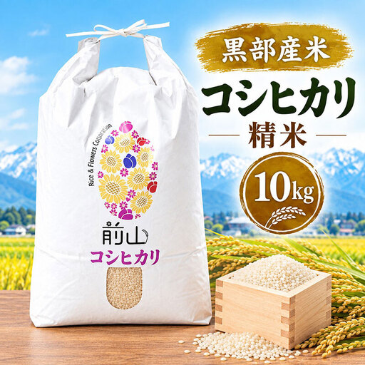 黒部産米 令和8年産コシヒカリ 精米 10kg お米 コメ 白米 こしひかり ご飯 ごはん 富山県 黒部市