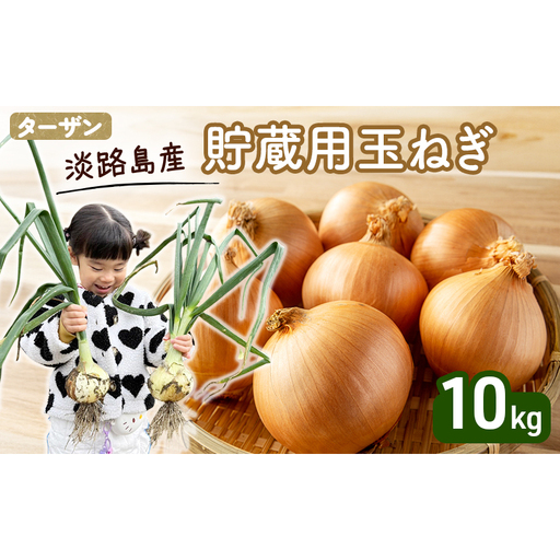 玉ねぎ 淡路島産 ターザン 貯蔵用 10kg 玉ねぎ