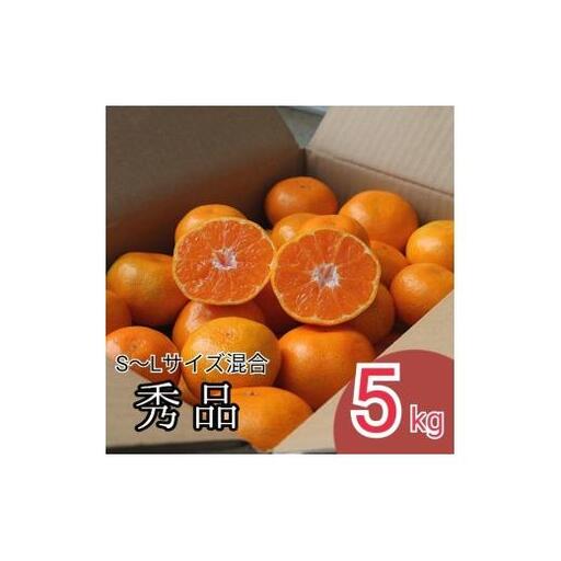 N175 【まごころ手選別】有田みかん５ｋｇ（Ｓ～Ｌサイズ混合）秀品