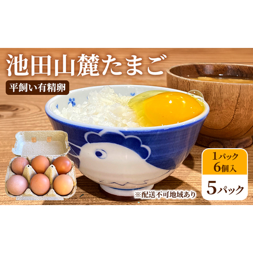 池田山麓たまご（平飼い有精卵）5パック（1パック6個入） 卵 セット 有精卵 岐阜県 池田町