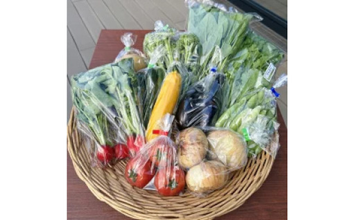 道の駅レスティ唐古・鍵 旬の新鮮野菜8種類以上詰合せ ！！ (野菜8種類以上) 道の駅 奈良県産 季節 詰め合わせ 生鮮食品 旬 新鮮 野菜 奈良県 【tm-BB004】【道の駅レスティ唐古・鍵】