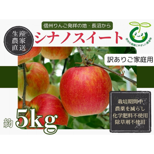 [訳あり]生産農家直送 人にやさしい 長沼りんご・シナノスイート5kg(ご家庭用) | りんご 林檎 フルーツ 果物 シナノスイート 家庭用 長沼 農園 おすすめ 人気 送料無料 長野県 長野市 信州 信濃 ふるさと納税