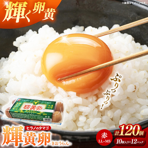 ヒラノのタマゴ 輝黄卵（きおうらん）120個（10個入り×12パック）【割れ保証込み 卵 たまご タマゴ 国産 新鮮 直送 輝黄卵 きおうらん 朝ごはん 卵かけごはん 福岡県 筑前町 AJ013】