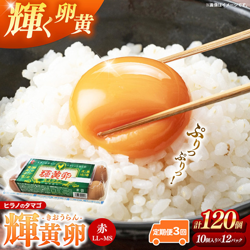 [定期便3回]ヒラノのタマゴ 輝黄卵(きおうらん)120個(10個入り×12パック)[割れ保証込み 卵 たまご タマゴ 国産 新鮮 直送 定期便 3回 3ヵ月 輝黄卵 きおうらん 朝ごはん 卵かけごはん 福岡県 筑前町 AJ014]