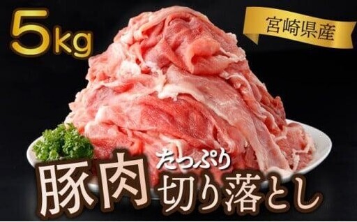 《2026年11月発送》豚肉切り落とし 250g×20パック 合計5kg_K033-030-11