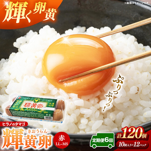 【定期便6回】ヒラノのタマゴ 輝黄卵（きおうらん）120個（10個入り×12パック）【割れ保証込み 卵 たまご タマゴ 国産 新鮮 直送 定期便 6回 6ヵ月 輝黄卵 きおうらん 朝ごはん 卵かけごはん 福岡県 筑前町 AJ015】