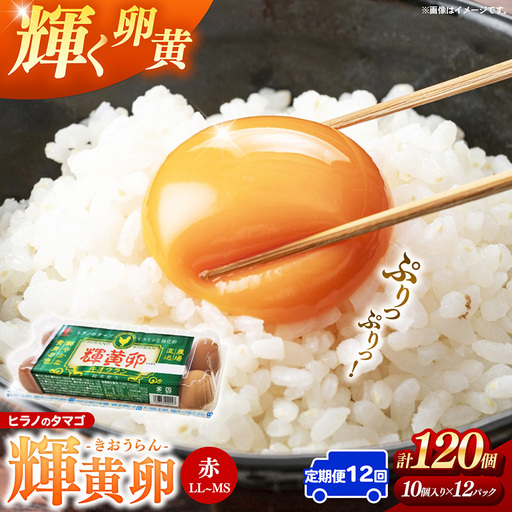 【定期便12回】ヒラノのタマゴ 輝黄卵（きおうらん）120個（10個入り×12パック）【割れ保証込み 卵 たまご タマゴ 国産 新鮮 直送 定期便 12回 12ヵ月 輝黄卵 きおうらん 朝ごはん 卵かけごはん 福岡県 筑前町 AJ016】