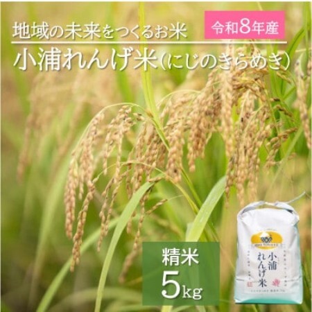 2026年産(令和8年産)新米!　小浦れんげ米(にじのきらめき)　精白米　5kg【1781269】