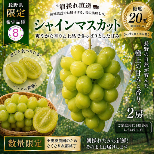 シャインマスカット 2房 約1〜1.2kg 大粒シャインマスカット フルーツ ぶどう 果物