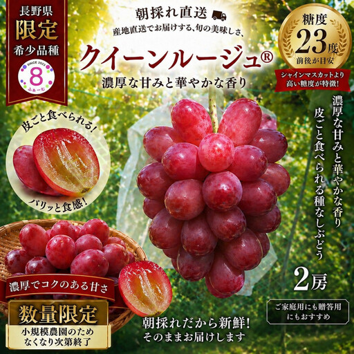 長野ぶどう クイーンルージュ? 2房 1〜1.2kg ぶどう フルーツ 果物