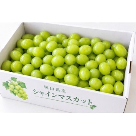 【2027年発送】岡山県産シャインマスカット粒　1kg【配送不可地域：離島】【1785609】