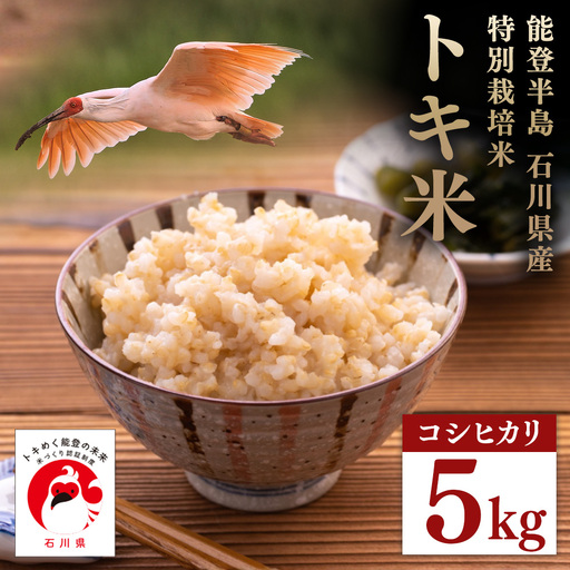 万行希望の丘農園 こしひかり 玄米 5kg｜米 玄米 能登 里山 里海 石川県 七尾市 能登半島