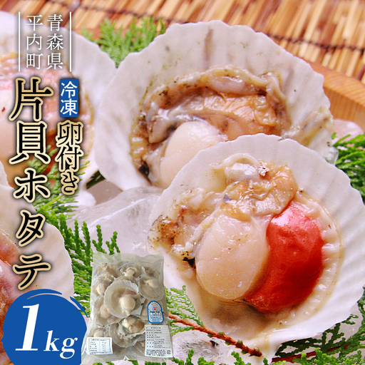冷凍 卵付き片貝ホタテ 1kg【亀田商店】 ほたて ホタテ貝 帆立 貝柱 魚介 下処理済み バーベキュー BBQ おすすめ 青森県 平内町 F21J-396
