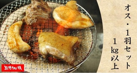 地鶏 1羽セット オス 1㎏以上 モモ肉 むね肉 ササミ肉 各2枚 地鶏【frsn0005】