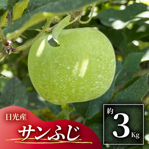 日光産 サンふじ 3kg [1069]