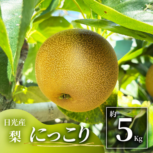 日光産 梨「にっこり」約5kg [1071]