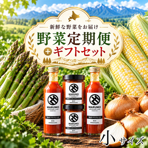 野菜定期便 4回便[令和9年産先行予約]本山農場の野菜定期便(小)野菜 トマトジュース ソース セット