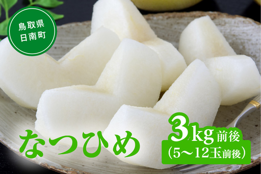 [令和9年産先行予約]なつひめ 3kg(5〜12玉前後) 梨 なし 果物 日南町 高間商店