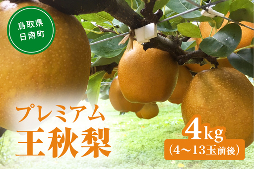 プレミアム王秋梨 4kg(4～13玉前後) 梨 なし 果物 フルーツ 日南町 高間商店