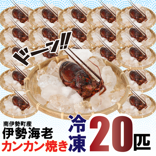 [着日指定可能] 南伊勢町産 伊勢海老 20匹 カンカン焼き 冷凍 伊勢えび
