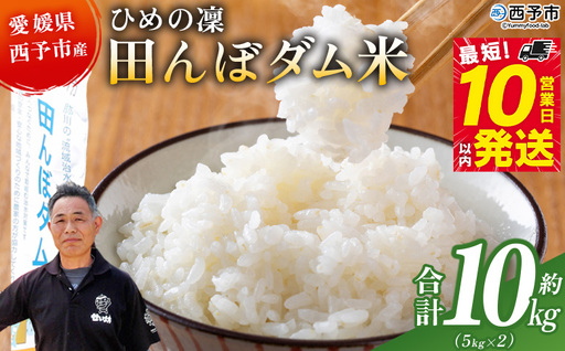 ＜令和8年産 愛媛県西予市産 ひめの凜 田んぼダム米 約10kg＞※最短10営業日以内に順次発送予定 特産品 キロ ひめのりん 西予応援米 宇和米 お米 コメ こめ 白米 精米 米 国産 愛媛県産 和みファーム 愛媛県 西予市【常温】UWN0010