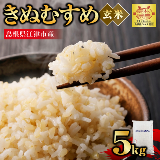 【先行予約】【R8年度産】島根県江津市 きぬむすめ 玄米 5kg MG-5 新米 お米