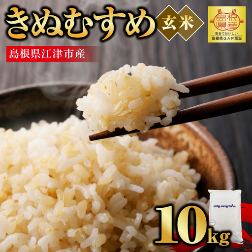 【先行予約】【R8年度産】島根県江津市 きぬむすめ 玄米 10kg MG-6 新米 お米