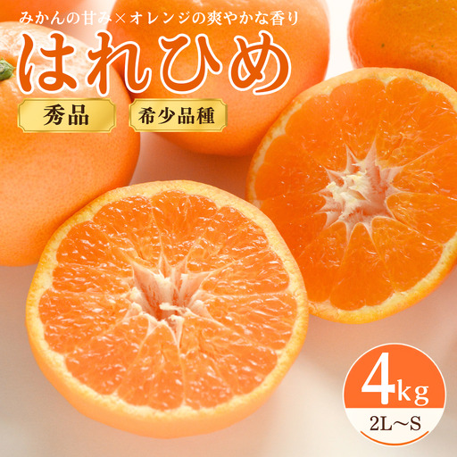 みかん [先行受付]はれひめ 4kg 秀品 2L〜S