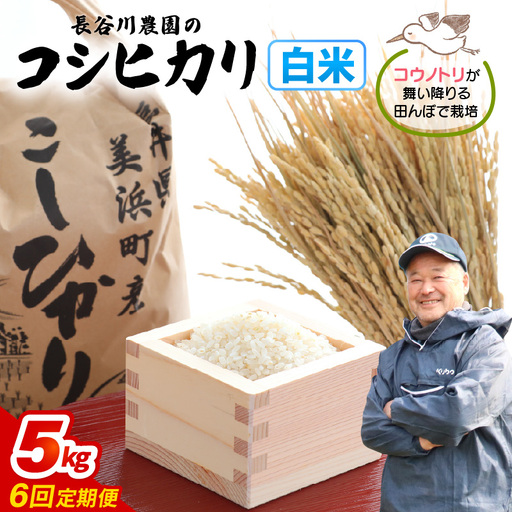 【白米】定期便 ≪6ヶ月連続お届け≫コシヒカリ 令和8年産 白米 5kg × 6回 (計30kg) 【長谷川農園】 [m22-g001]