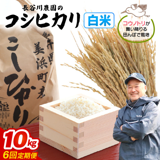 【白米】定期便 ≪6ヶ月連続お届け≫コシヒカリ 令和8年産 白米 10kg × 6回 (計60kg) 【長谷川農園】 [m22-l001]