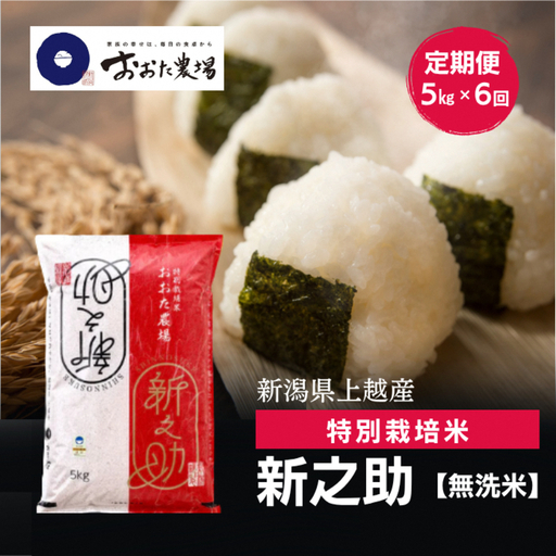 令和8年産 新潟県上越産 特別栽培米 新之助 定期便 5kg×6回 計30kg 【無洗米】 しんのすけ 新米 おおた農場 上越市