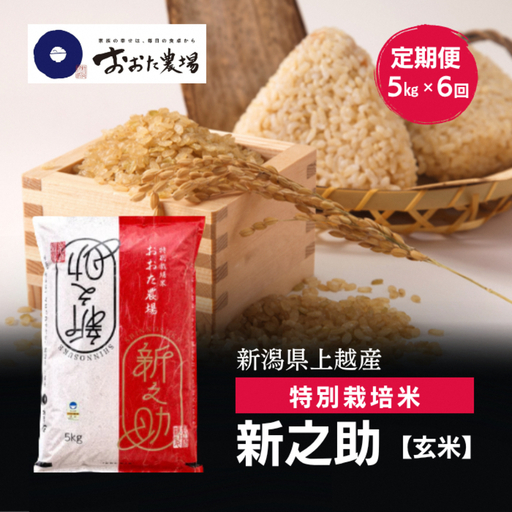 令和8年産 新潟県上越産 特別栽培米 新之助 定期便 5kg×6回 計30kg 【玄米】 新米 おおた農場 上越市