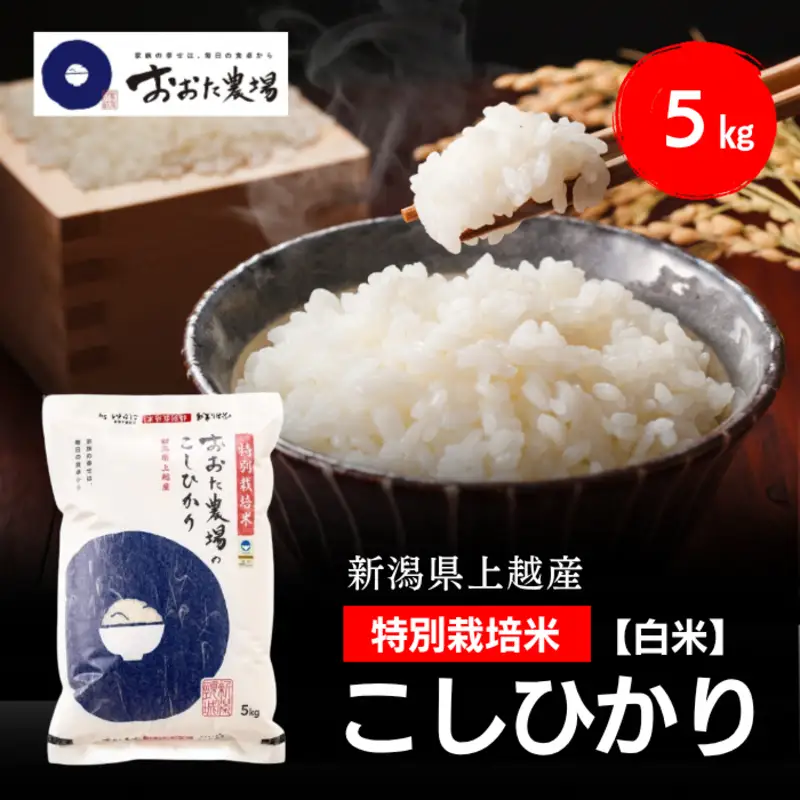 �ԗ�i�摜
